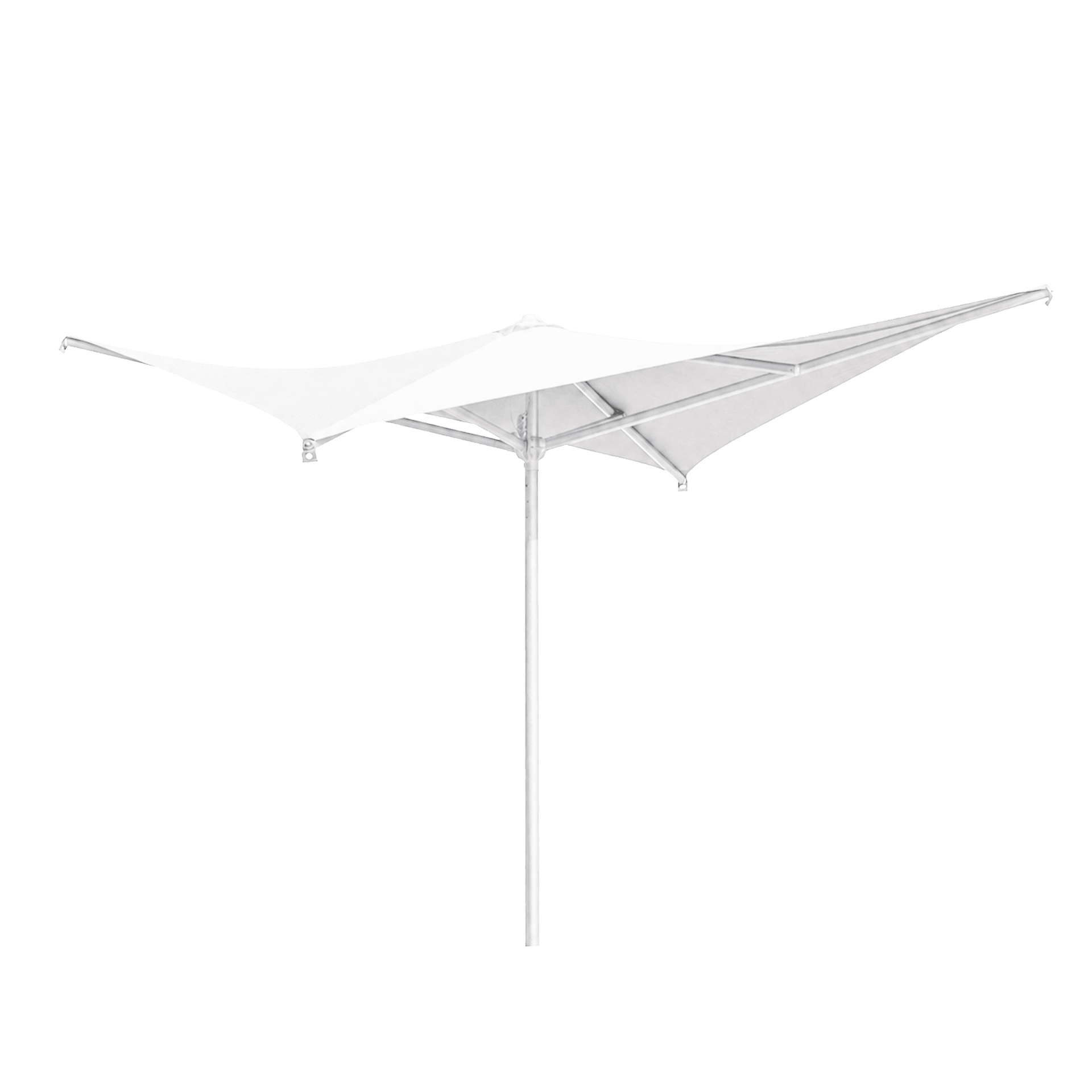 VELA