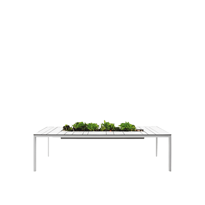 SIMPLE POT