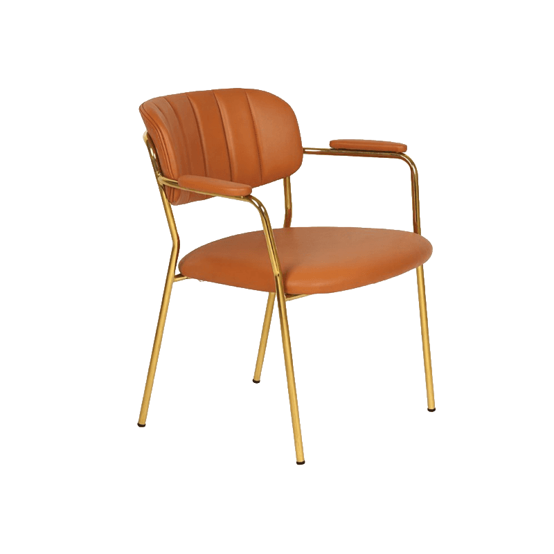 FABRICIUS
